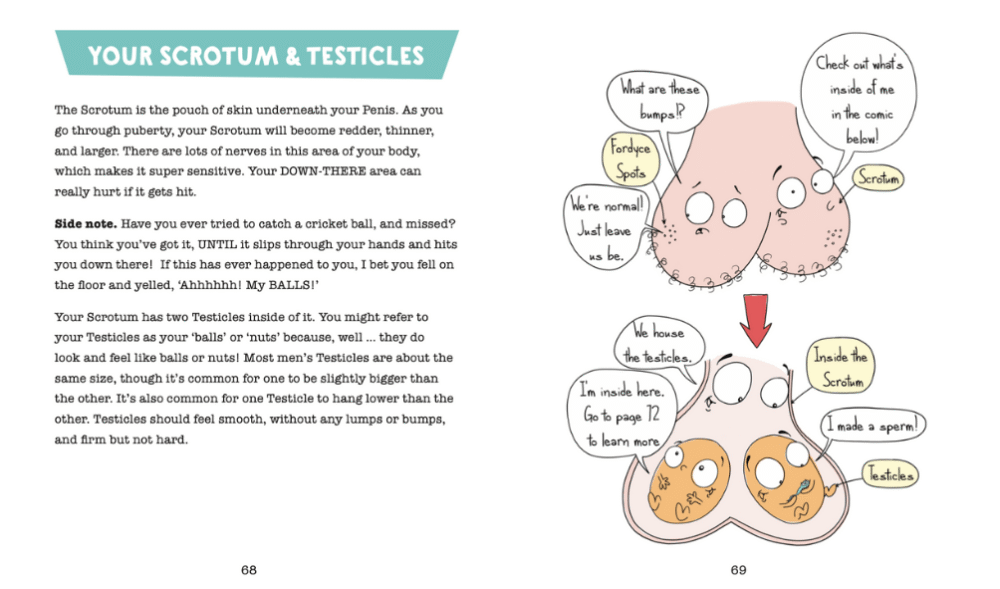 A Guy's Guide to Puberty